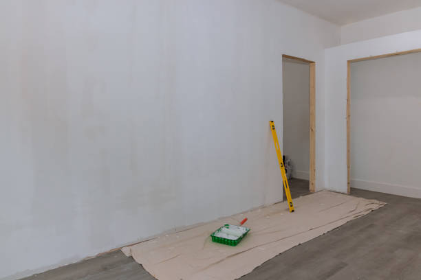 Best Attic Mold Removal  in Lowell, AR
