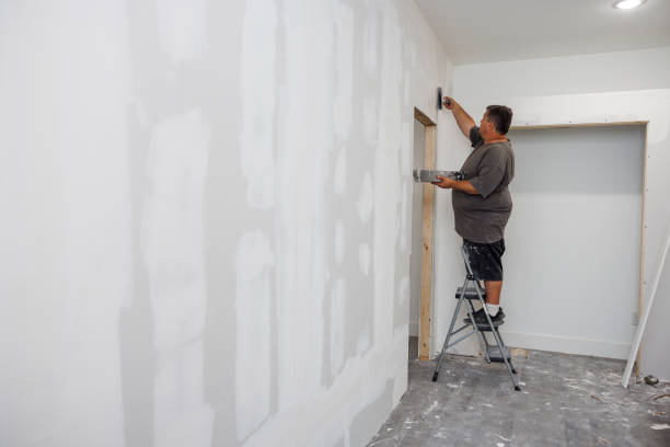 Best Basement Mold Removal  in Lowell, AR